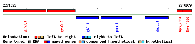gene map