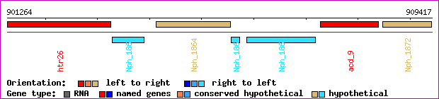 gene map