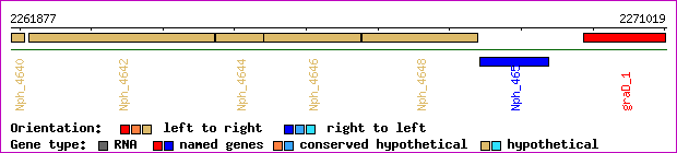gene map