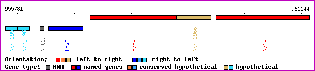 gene map