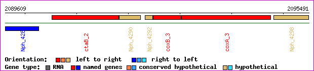 gene map