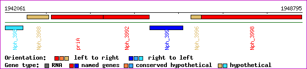 gene map