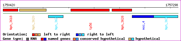 gene map
