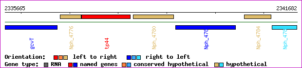 gene map