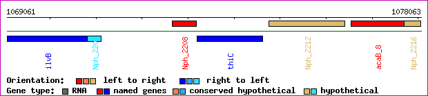 gene map