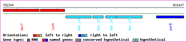 gene map