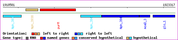 gene map