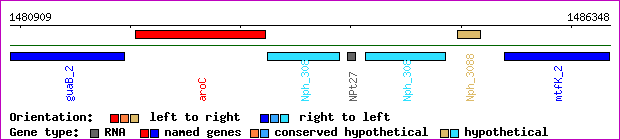 gene map