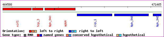 gene map