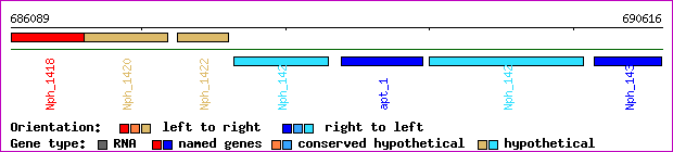 gene map