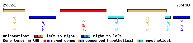 gene map