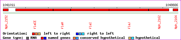 gene map