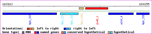 gene map