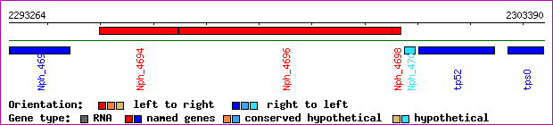 gene map