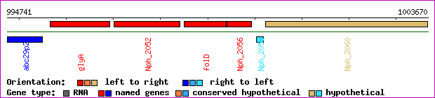 gene map