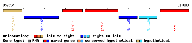gene map