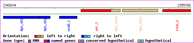 gene map