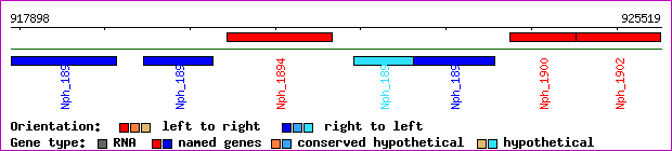gene map