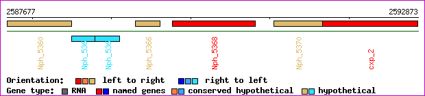 gene map