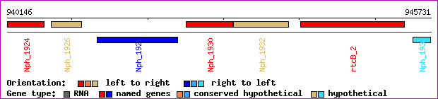 gene map