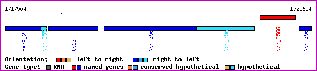 gene map