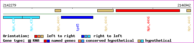 gene map