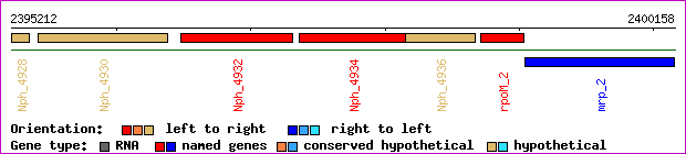 gene map