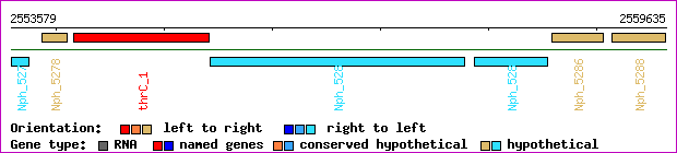 gene map