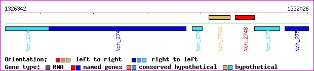 gene map