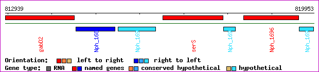 gene map