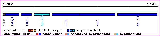gene map