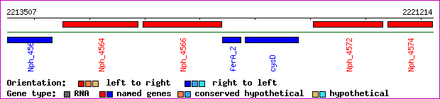 gene map