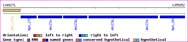 gene map
