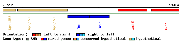 gene map