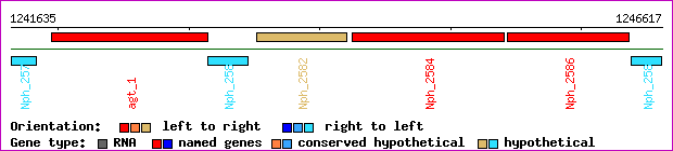 gene map