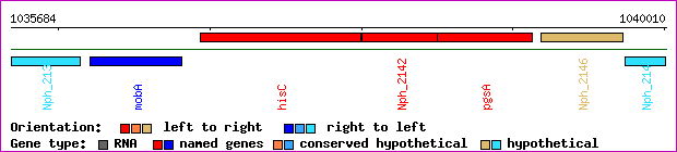 gene map