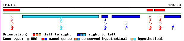 gene map