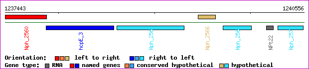 gene map