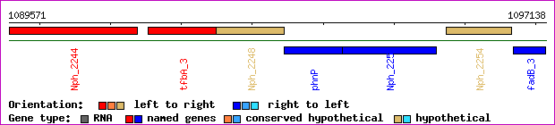 gene map