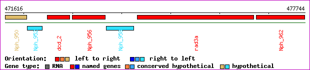 gene map