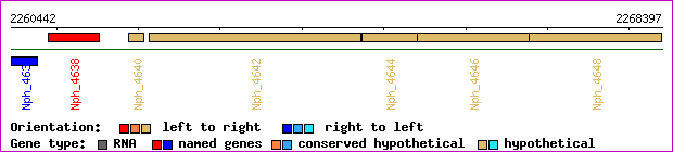 gene map