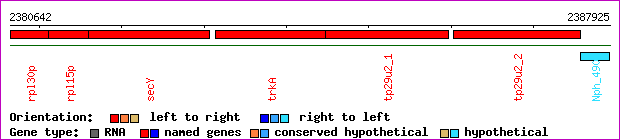 gene map