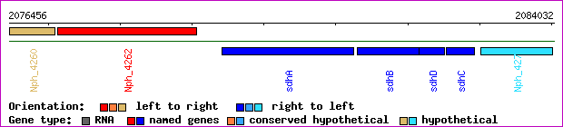 gene map