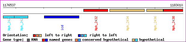 gene map