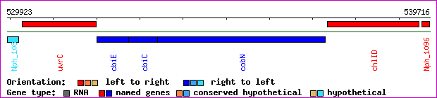 gene map