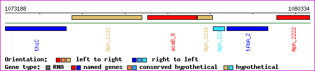 gene map