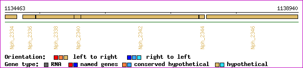 gene map