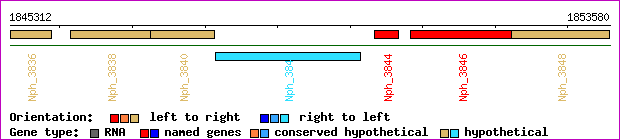 gene map