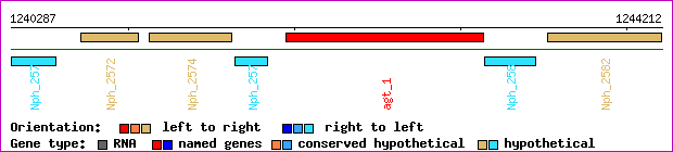 gene map