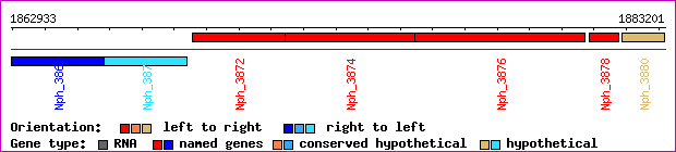 gene map